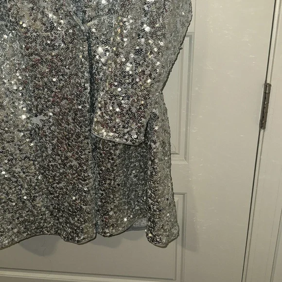 H&M Silver Sequin Dress - Picture 7 of 15